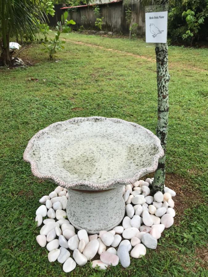 Seri Pengkalan Homestay Bachok Exteriör bild
