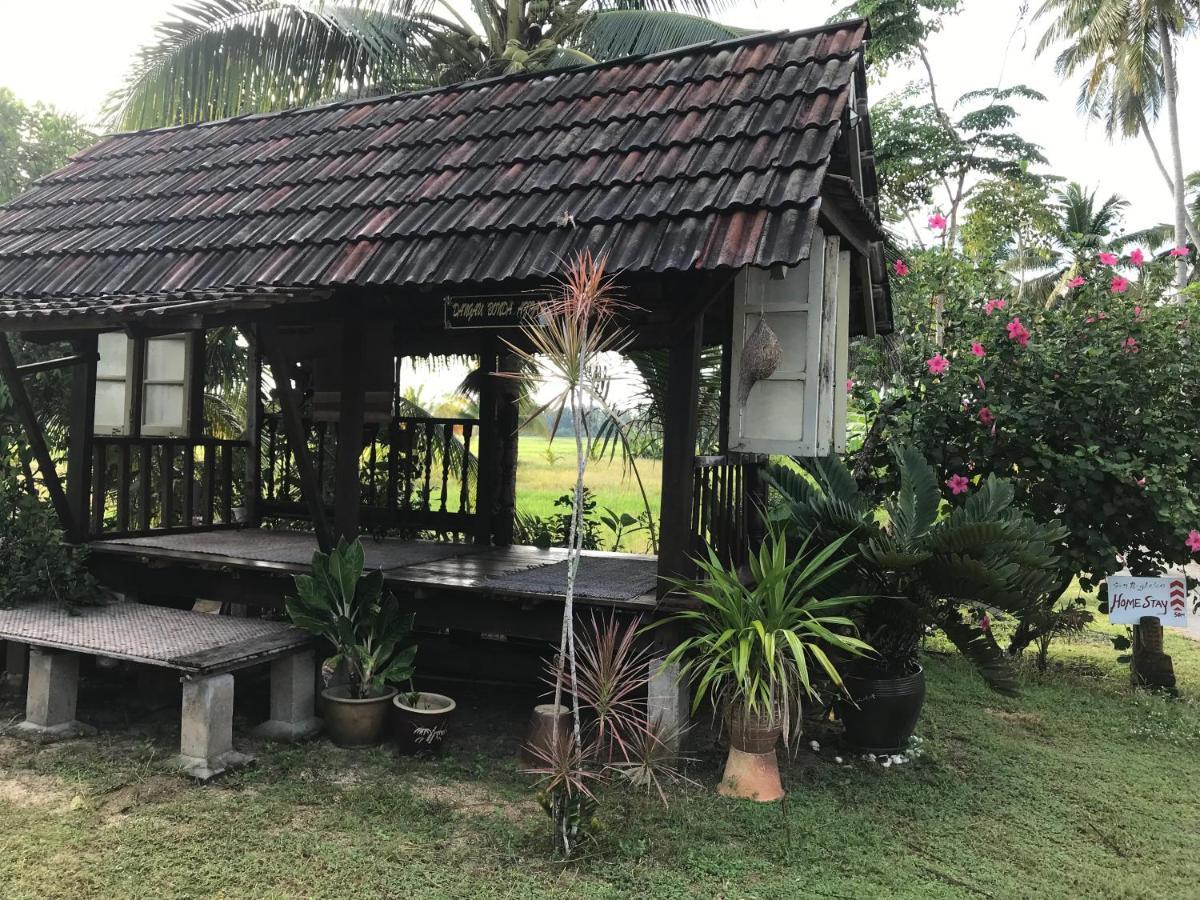 Seri Pengkalan Homestay Bachok Exteriör bild