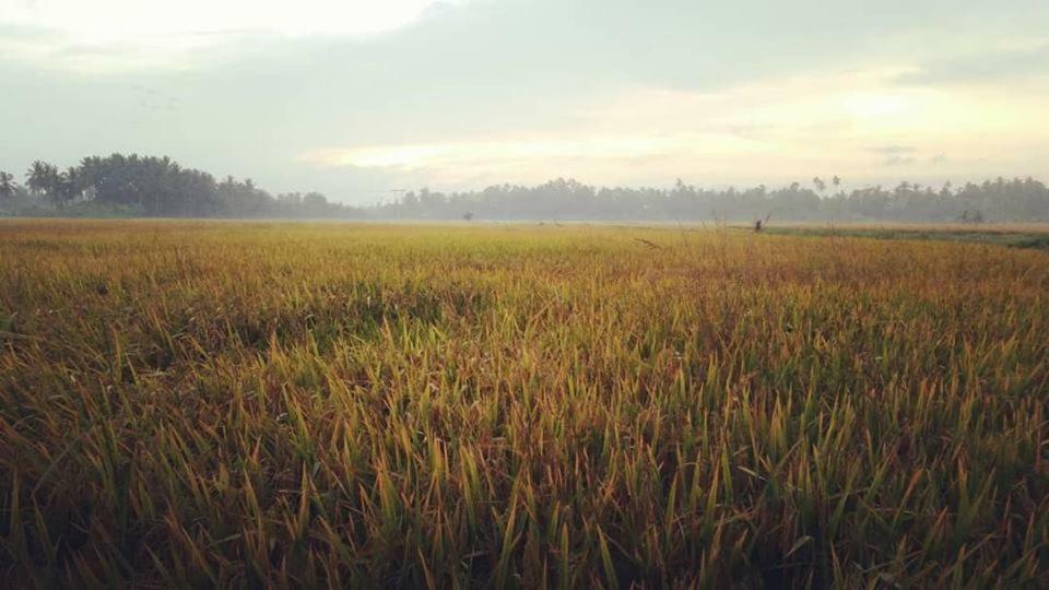 Seri Pengkalan Homestay Bachok Exteriör bild
