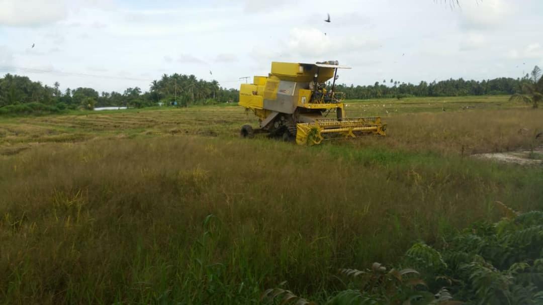 Seri Pengkalan Homestay Bachok Exteriör bild